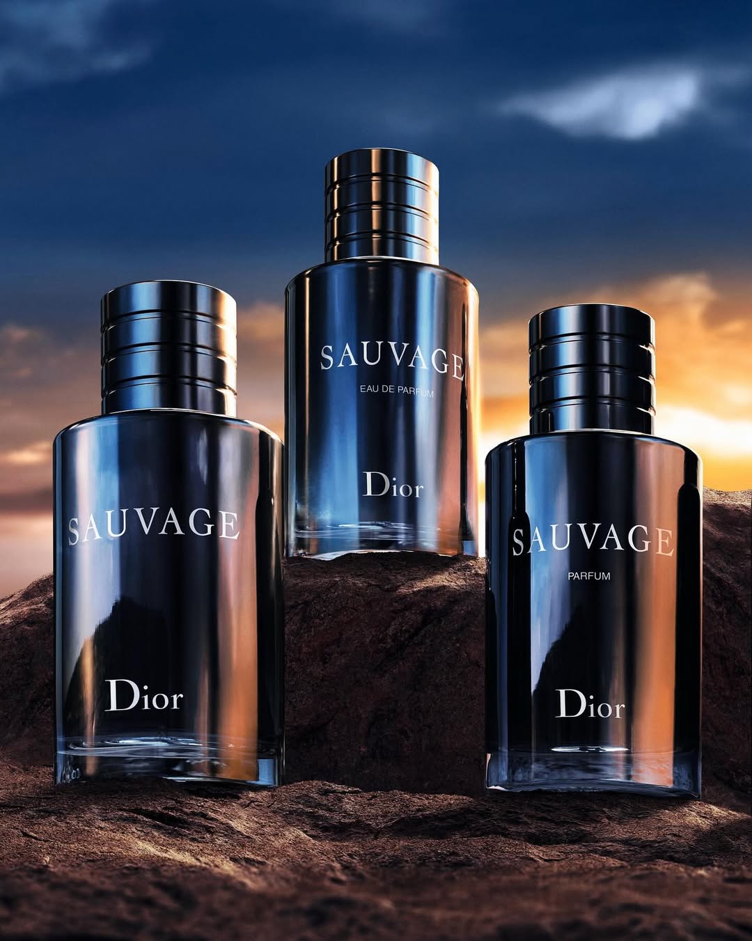 Sauvage Perfume 200ml